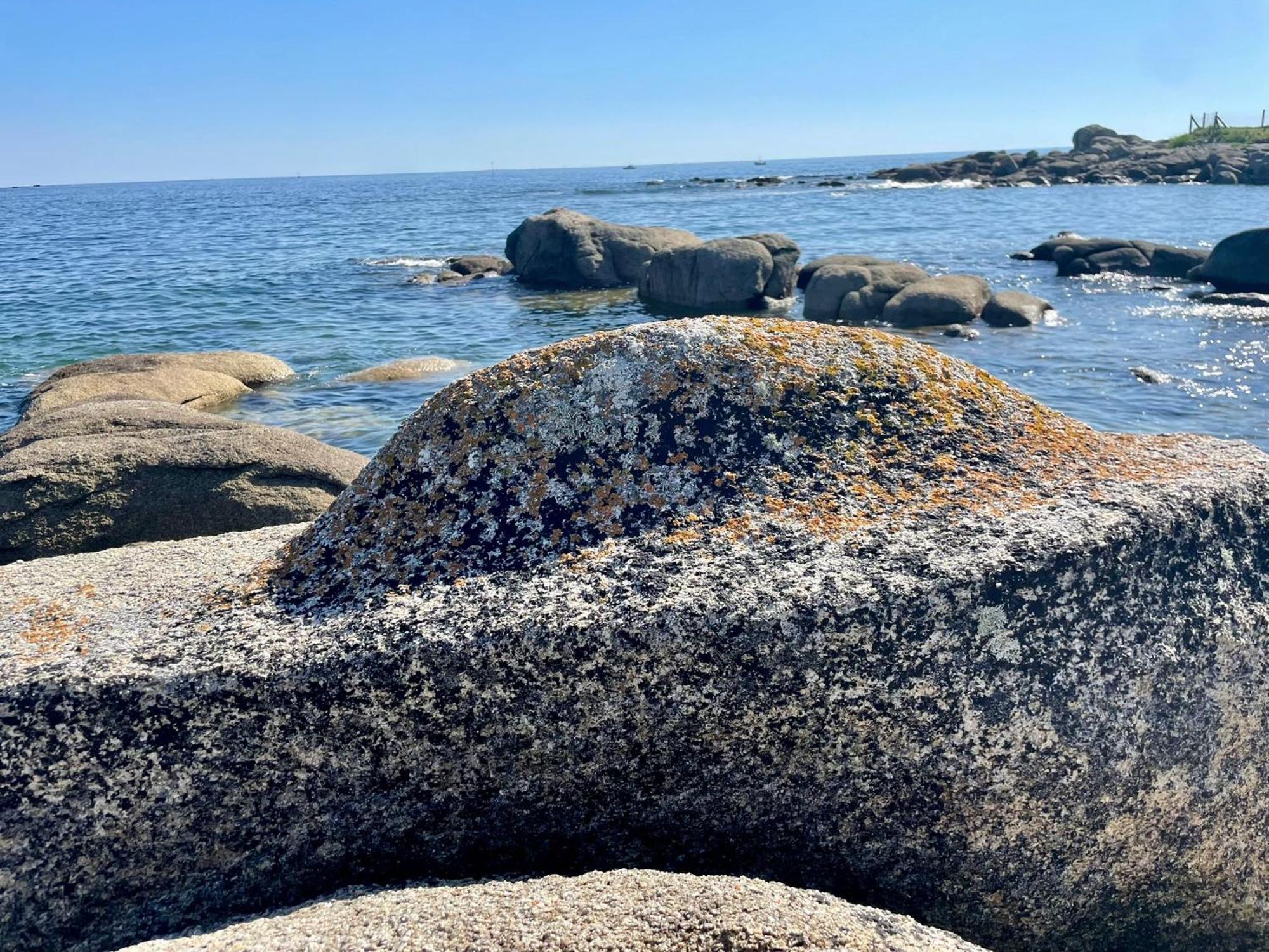 2 Maisons De Vacances Sittelles Lodge Concarneau Esterno foto