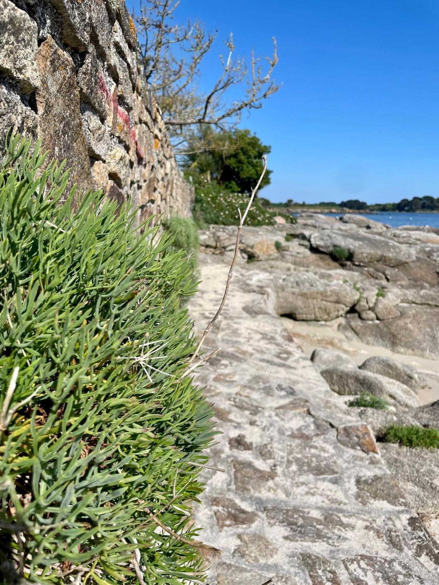 2 Maisons De Vacances Sittelles Lodge Concarneau Esterno foto